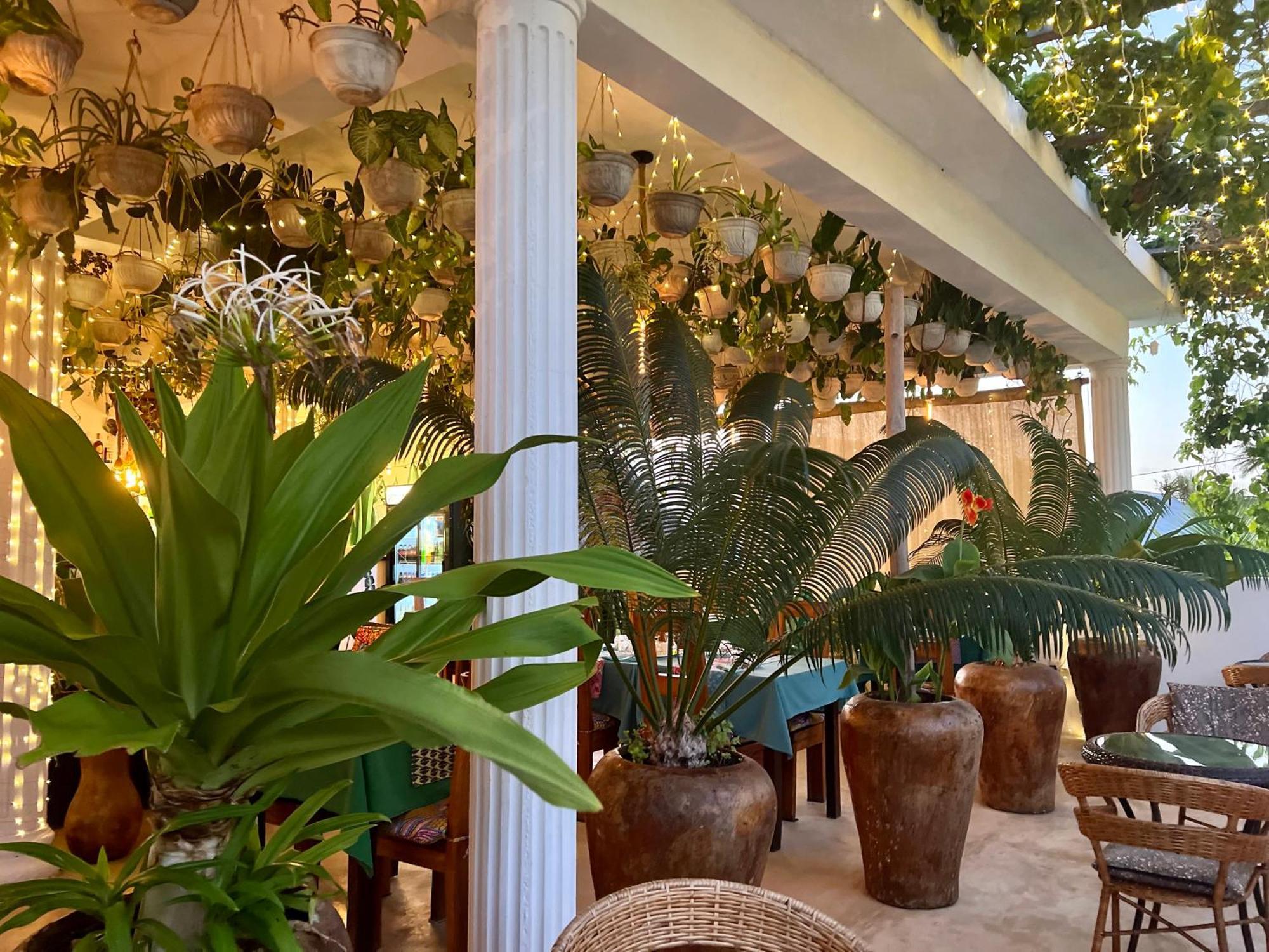 Gadea Boutique Hotel& Gadea Garden Italian Restaurant (Adults Only) Jambiani  Exterior photo
