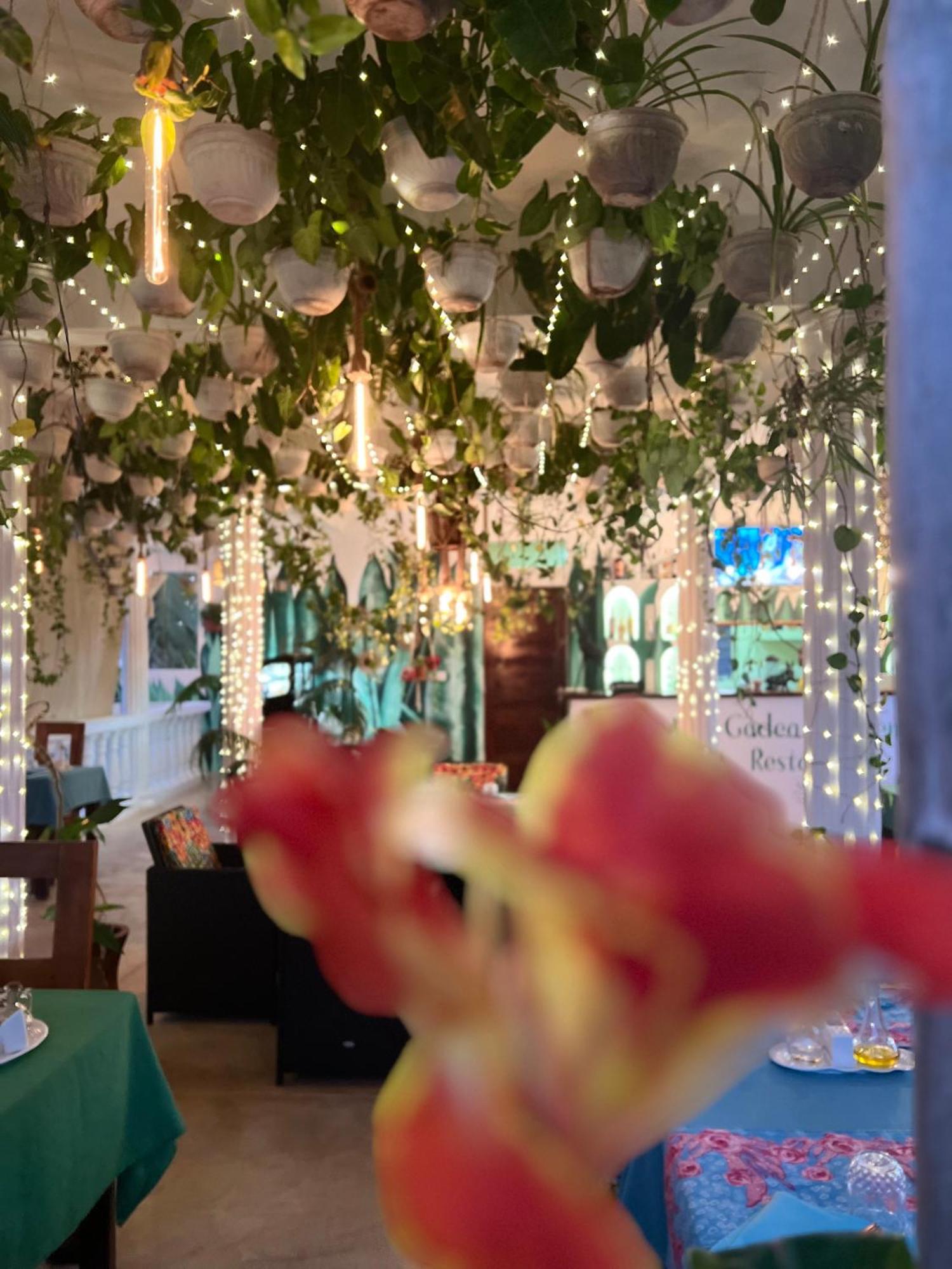 Gadea Boutique Hotel& Gadea Garden Italian Restaurant (Adults Only) Jambiani  Exterior photo